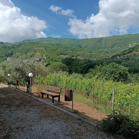 Vendégház Affittacamere Aria Sessa Cilento