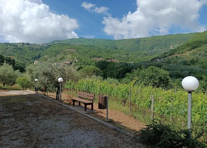 Casa de hóspedes Affittacamere Aria Sessa Cilento